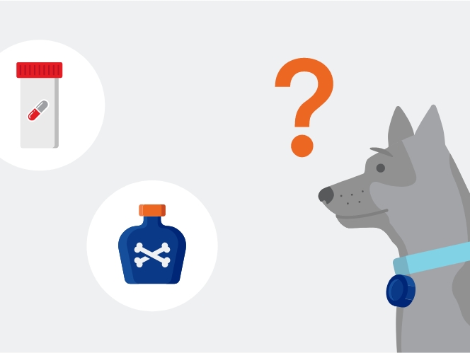 An illustration of a dog looking at poisons with confusion