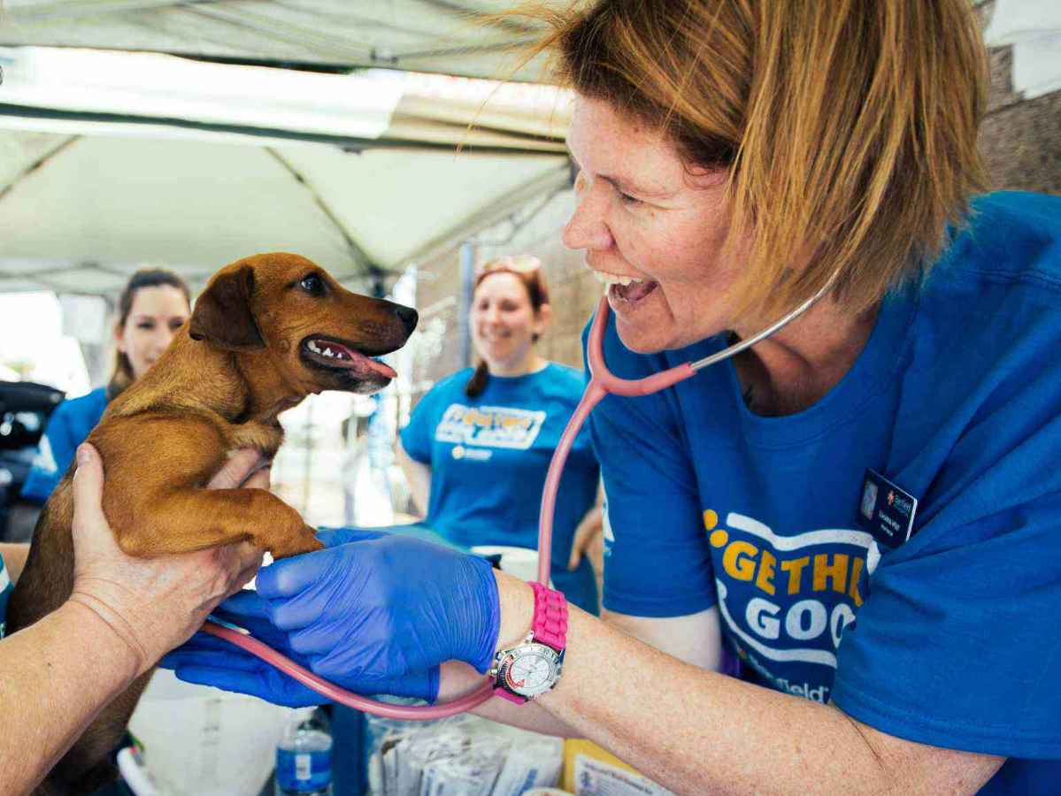 The Better Together Fund team helping animals in need