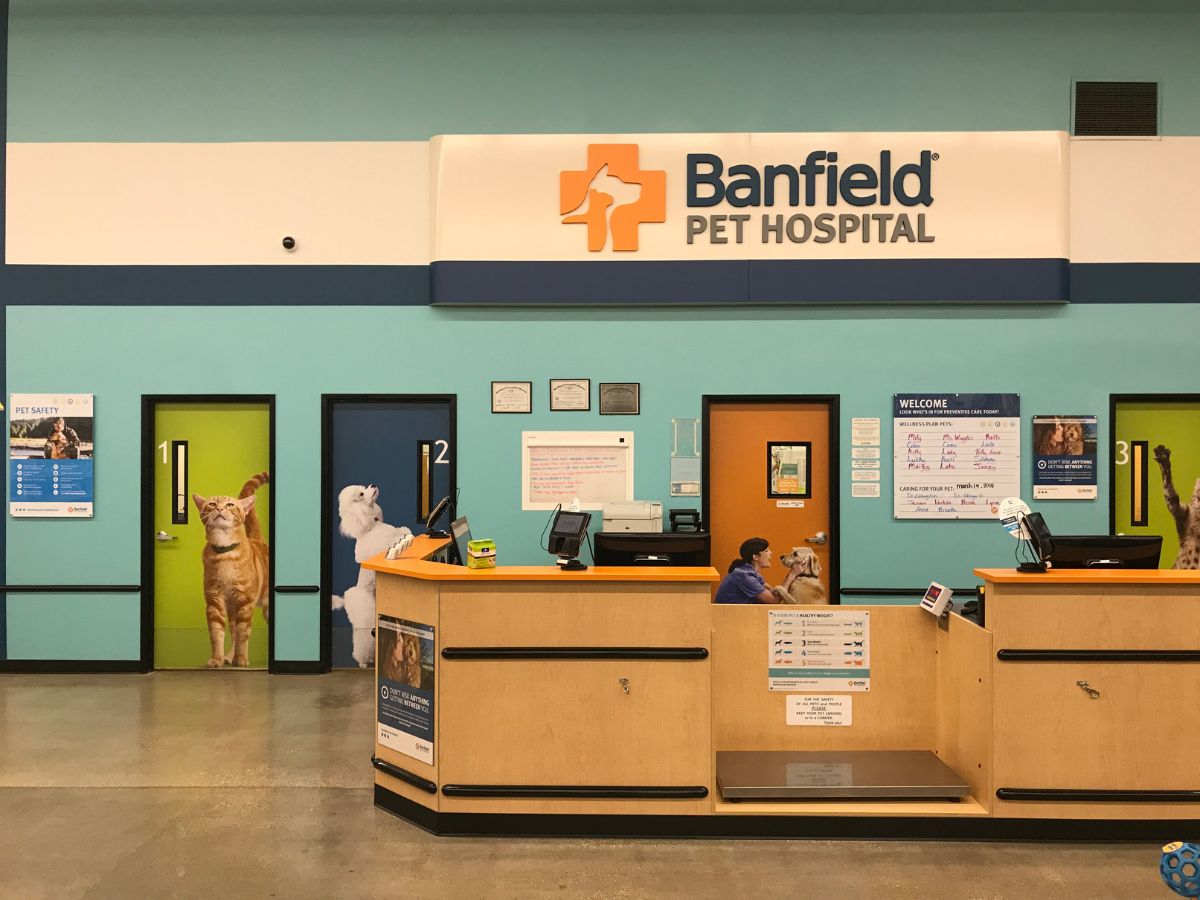 The check-in area at the Banfield - West Loop hospital