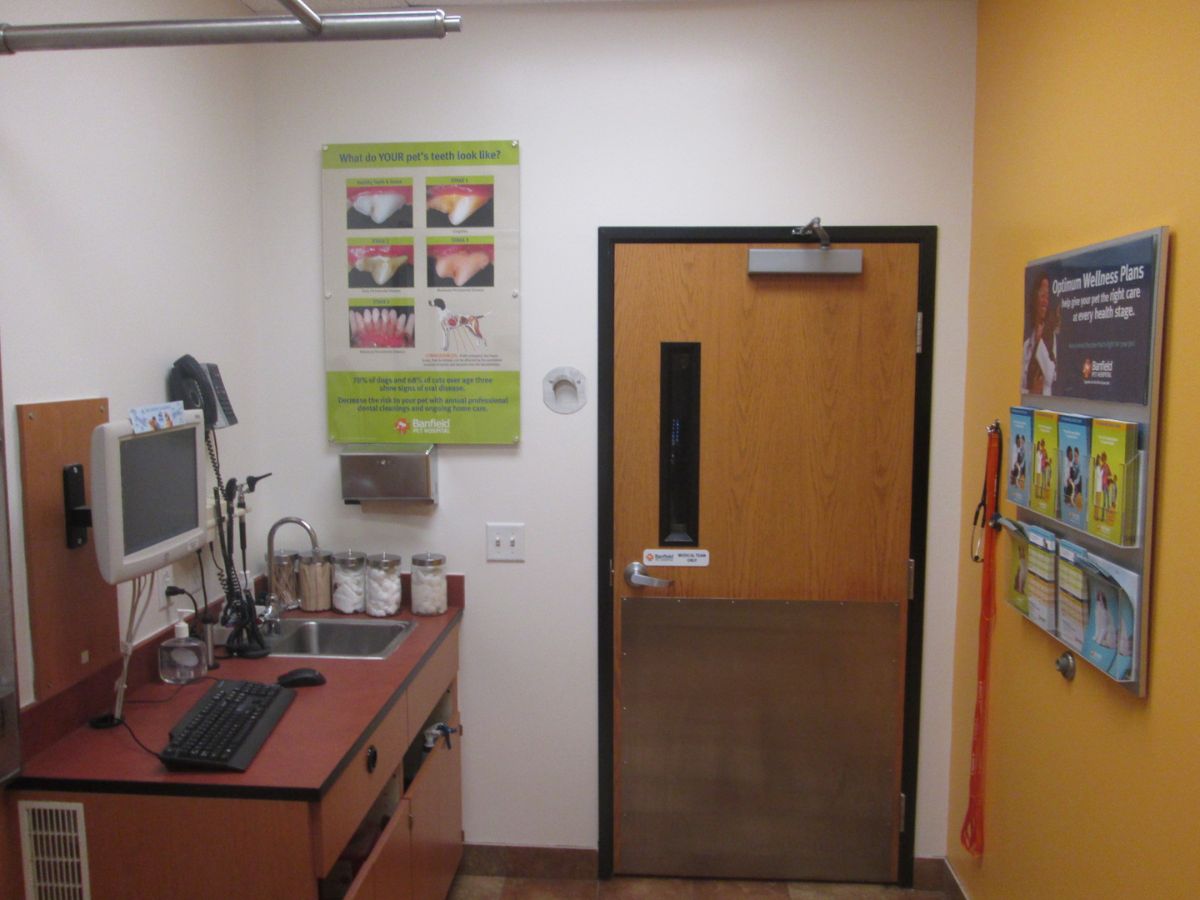 A view of the exam room at Banfield - West Loop