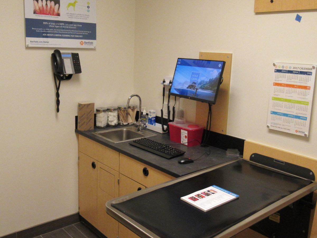 A view of the Banfield - Springwoods Village exam room and exam table