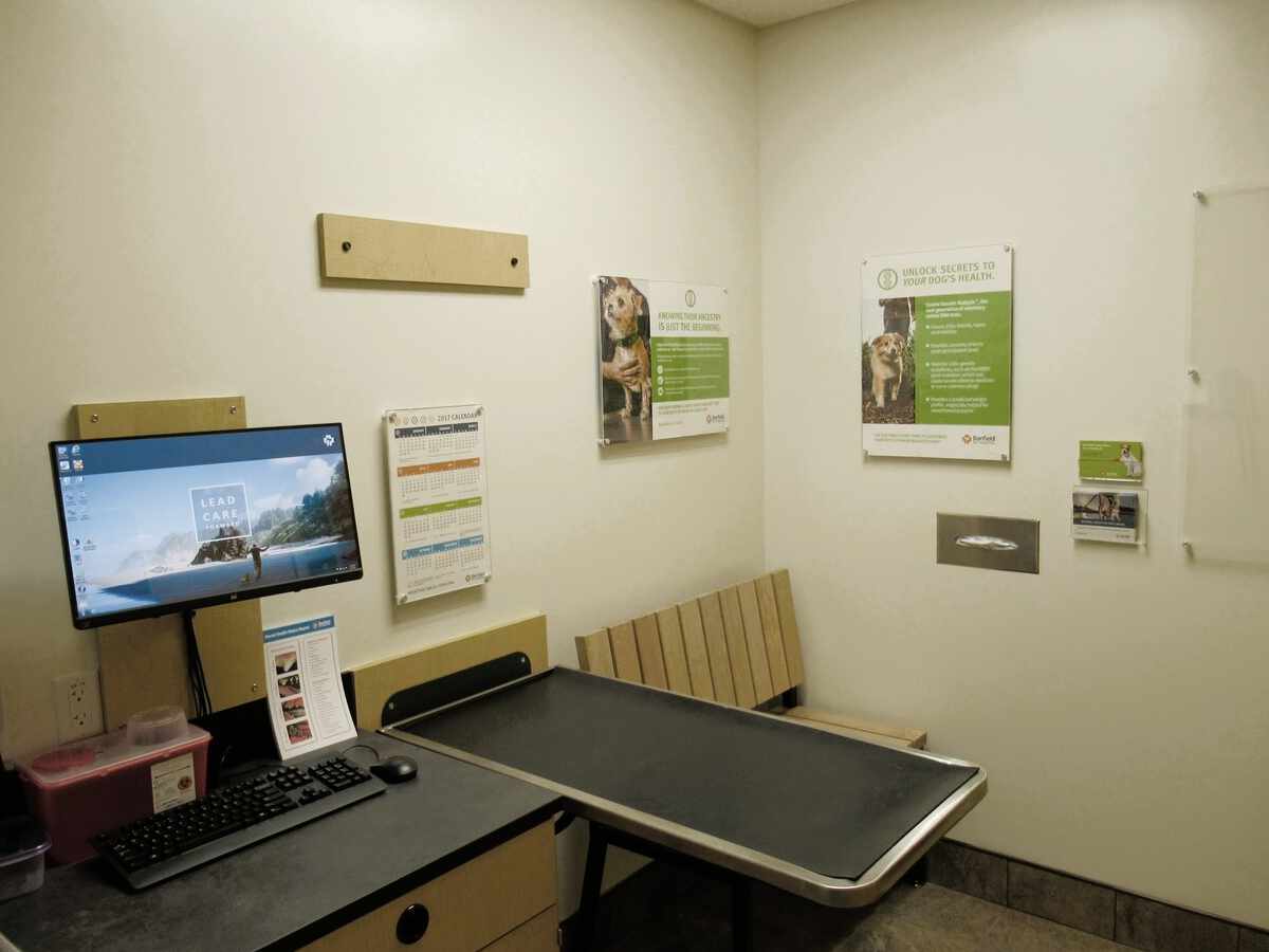 The Dublin East Banfield exam room and exam table