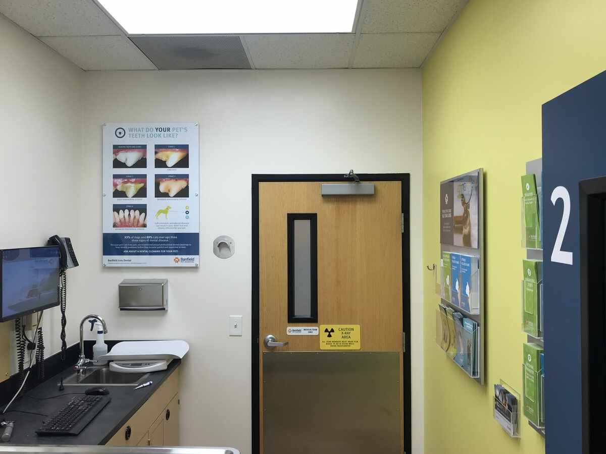 An alternate view of the San Leandro Banfield exam room 