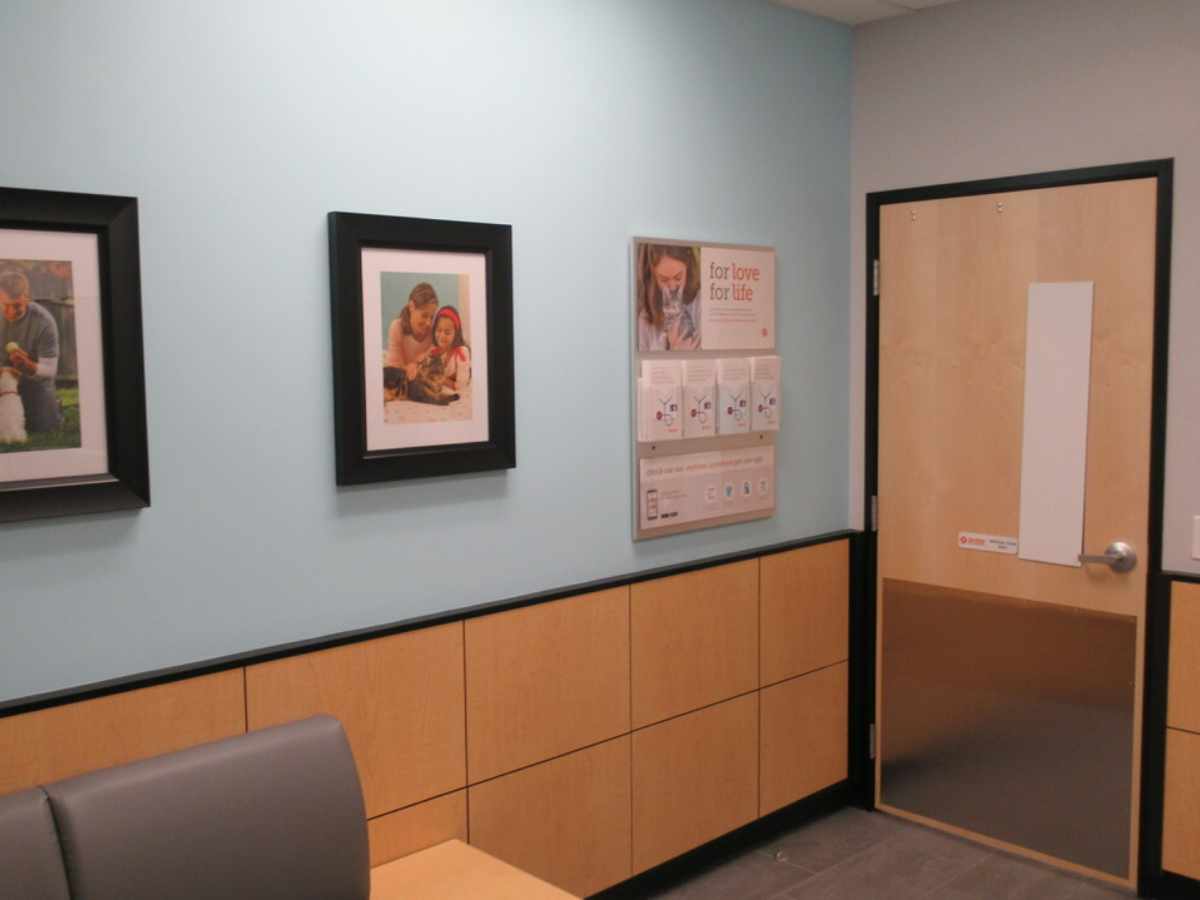 An alternate view of the Banfield - Dublin exam room and table