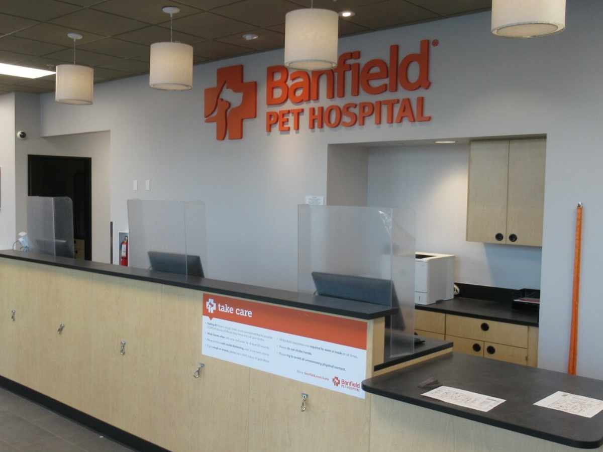 The Dublin Banfield check-in area