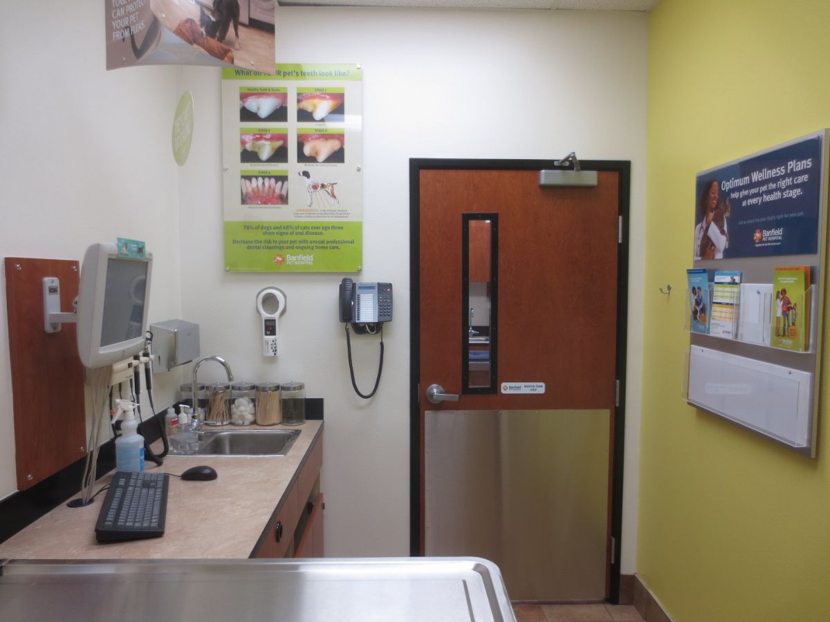 The Banfield Pet Hospital: Gulfport exam room with table
