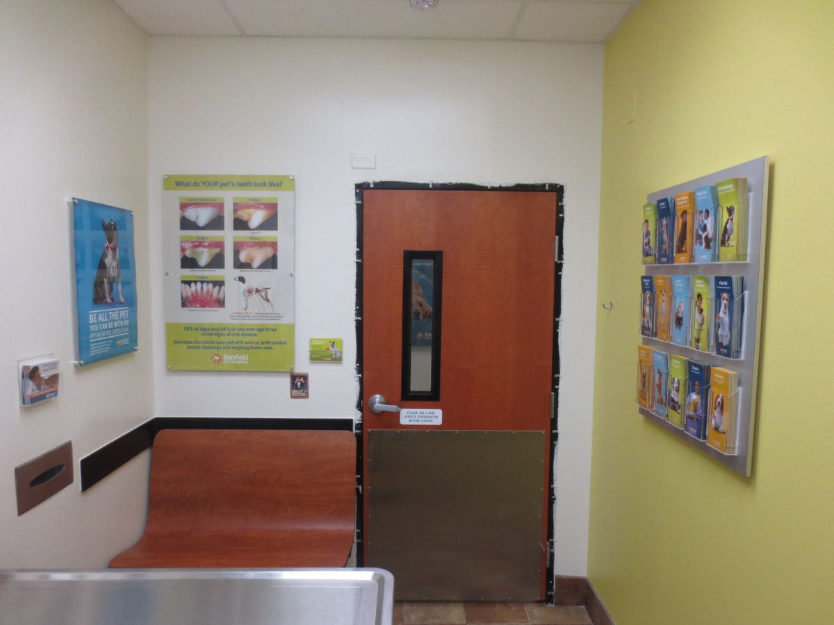 The Banfield Pet Hospital: Webster exam room with table