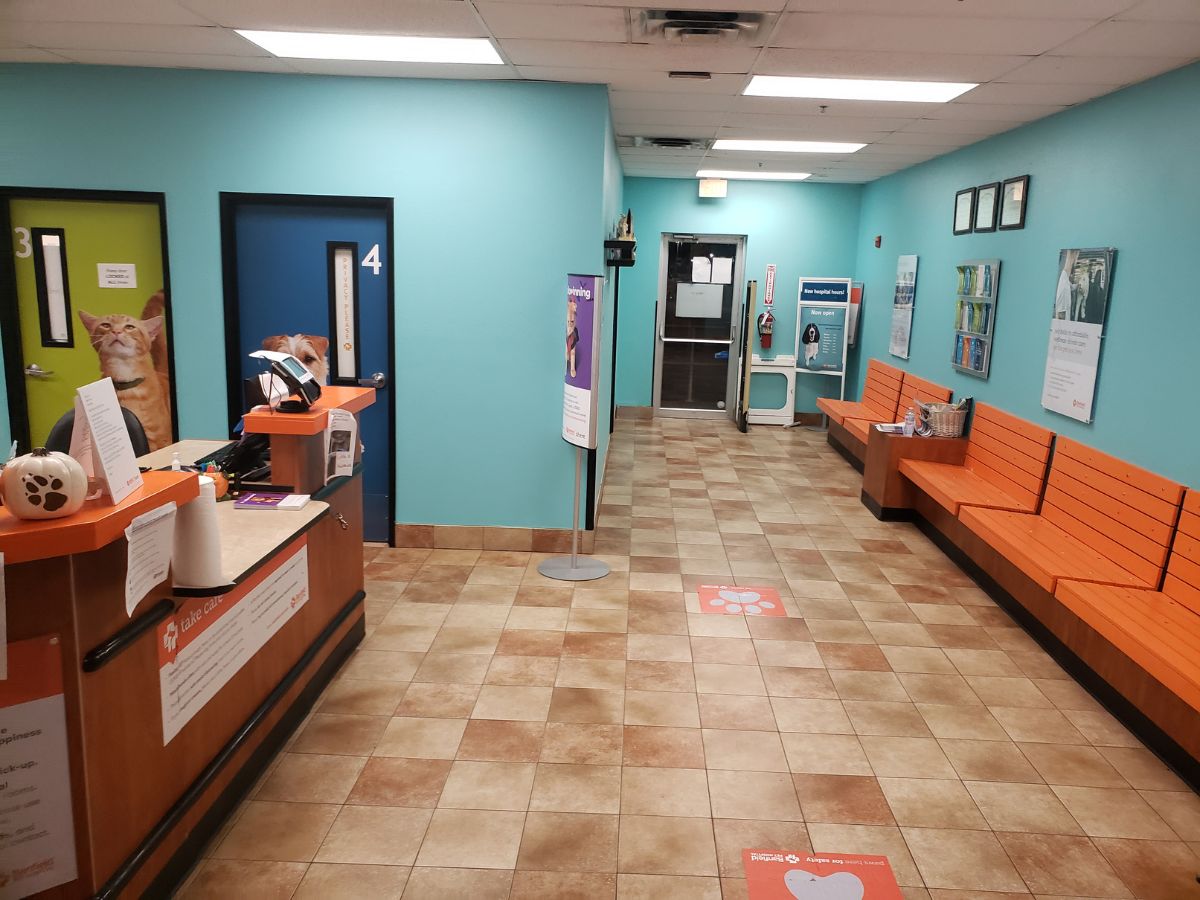 The Banfield Pet Hospital: Pasadena front desk and lobby