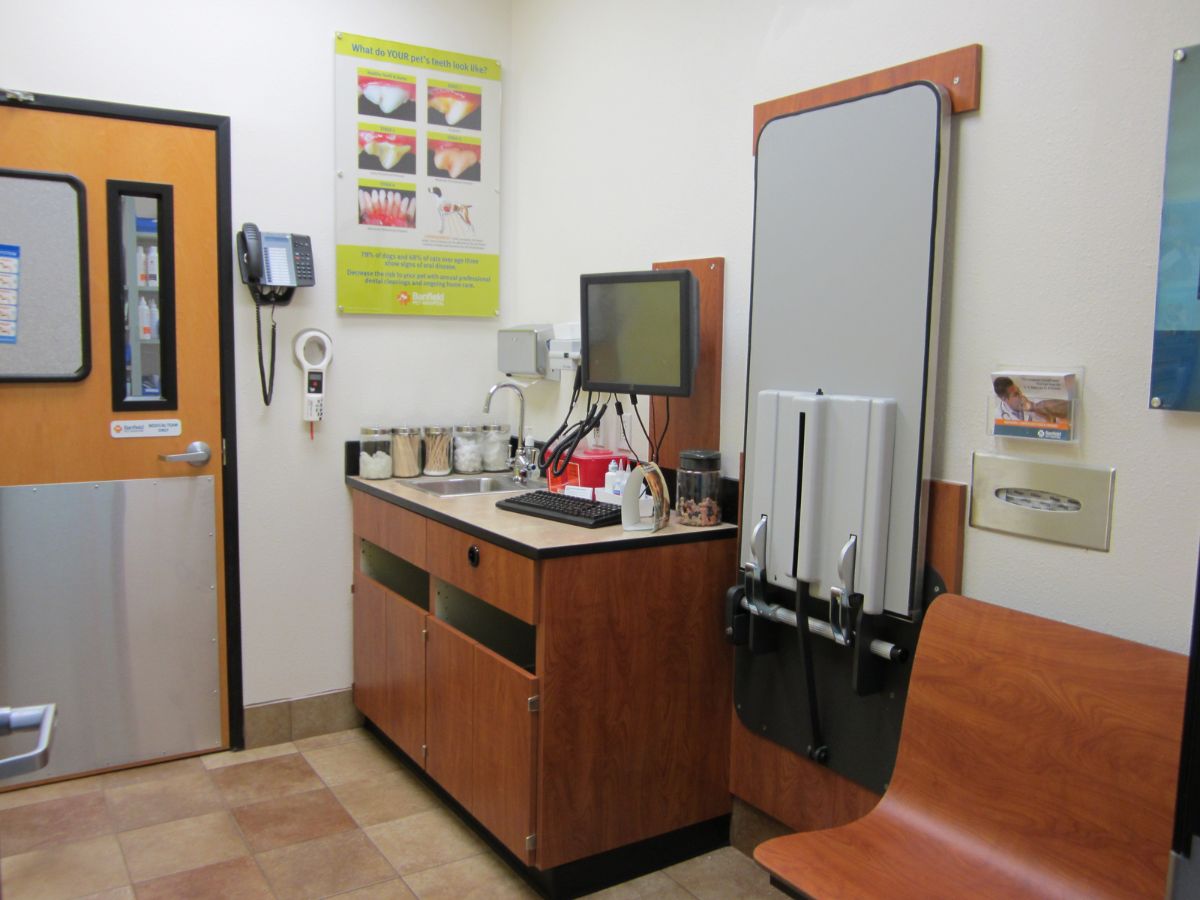 The Banfield Pet Hospital: Pasadena exam room with table