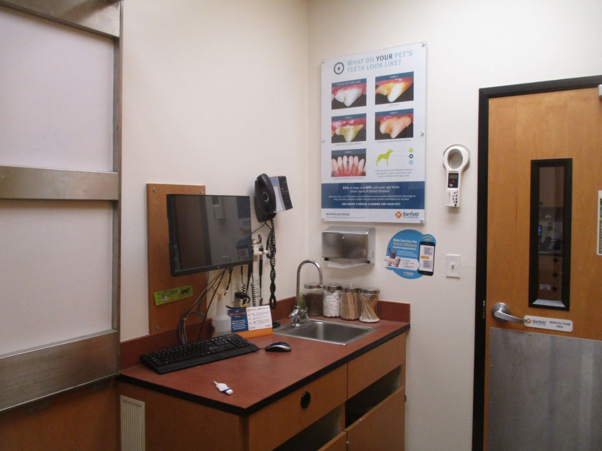 The exam room view of the Banfield - Flowood hospital