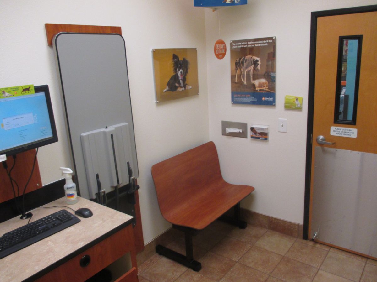 The Banfield - Lafayette exam room with table