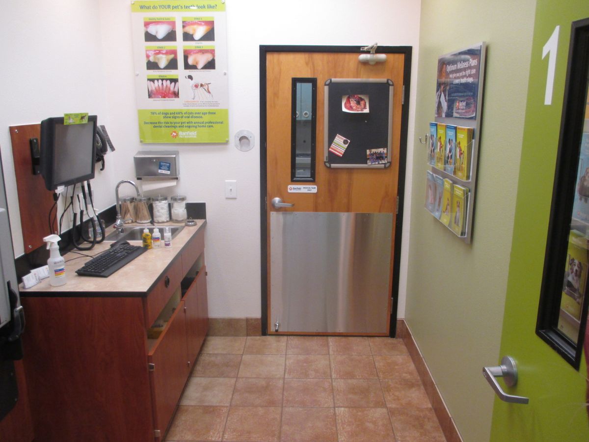 An exam room view of the Banfield - Lafayette hospital