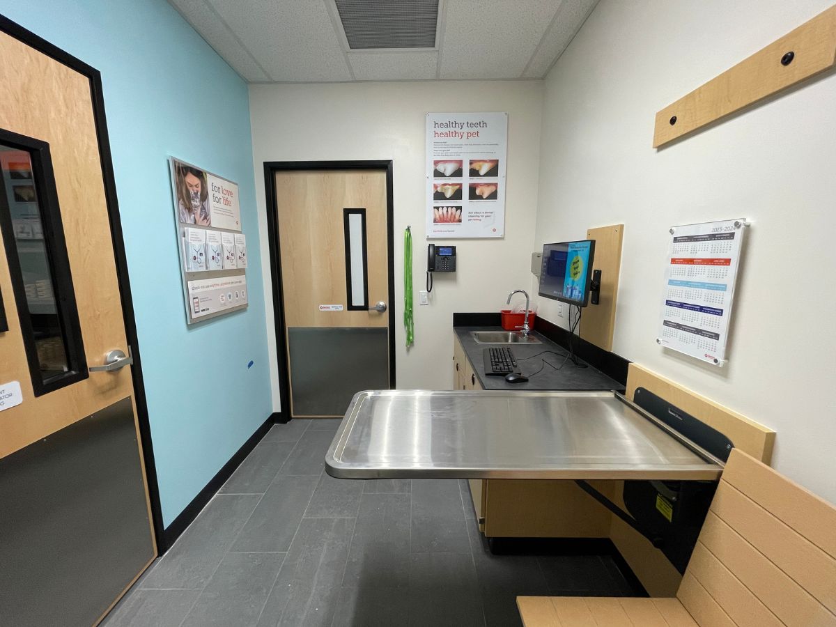 The Banfield Pet Hospital - Slidell Gause exam room with table