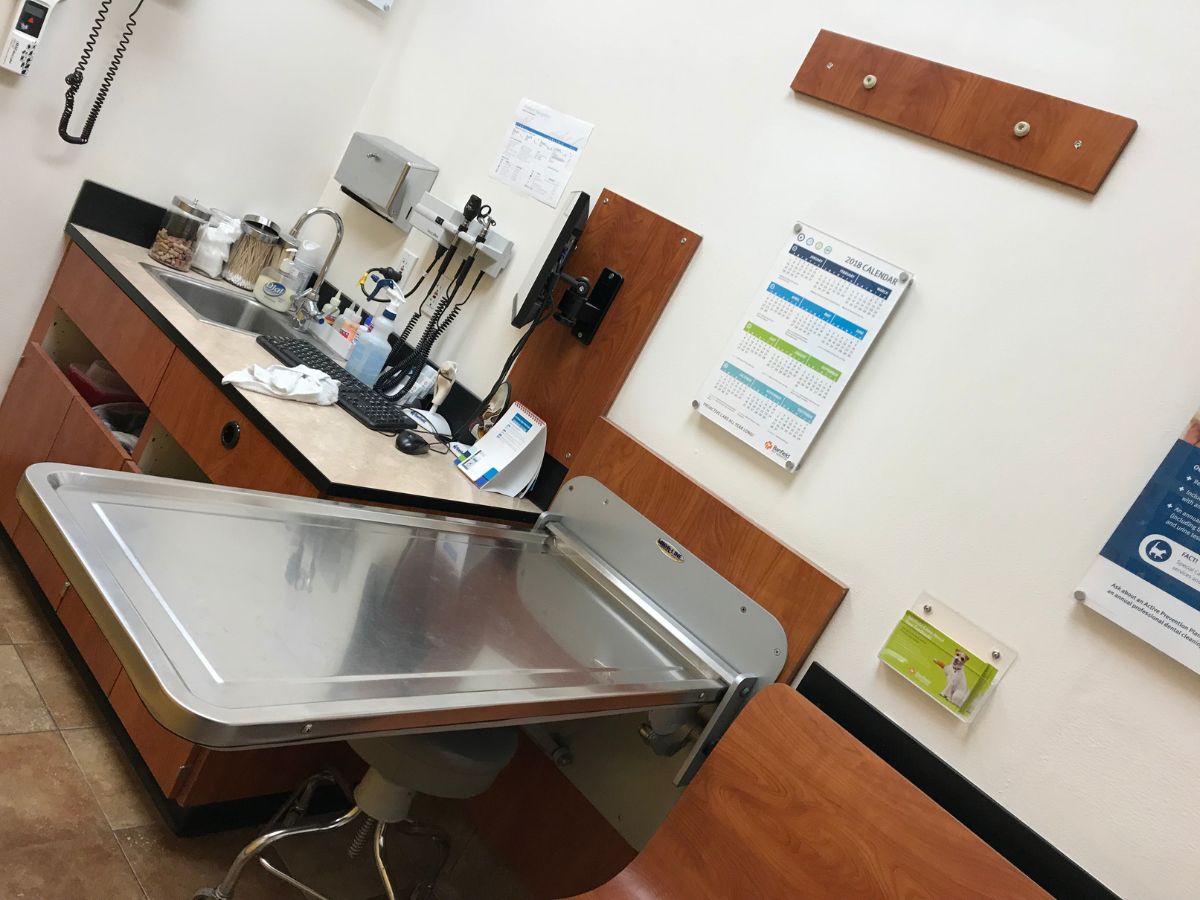 The Calverton Banfield exam room and exam table