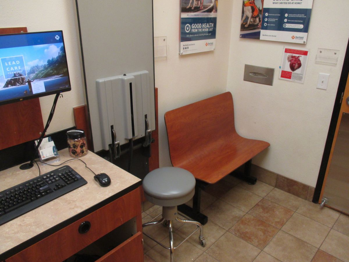 The Banfield Pet Hospital: Gaithersburg exam room with table