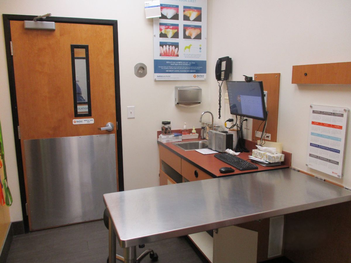 A view of the Greenbelt Banfield exam room and folding table