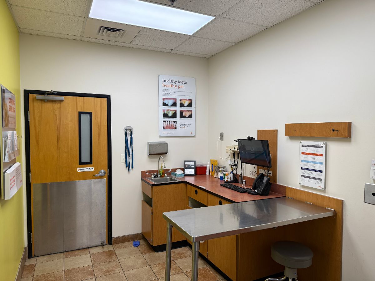 The Banfield - Laurel exam room and folding table