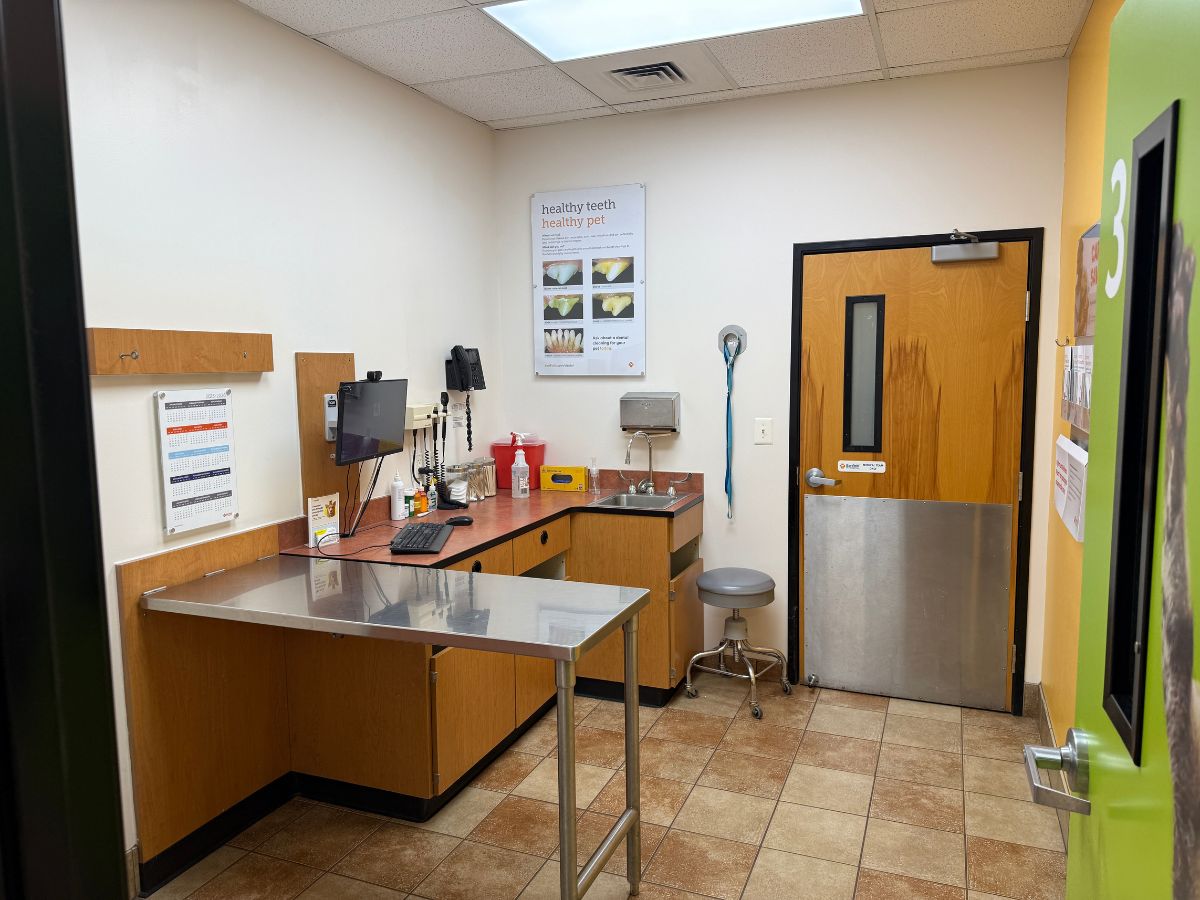 An alternate view of the Laurel Banfield exam room and folding table