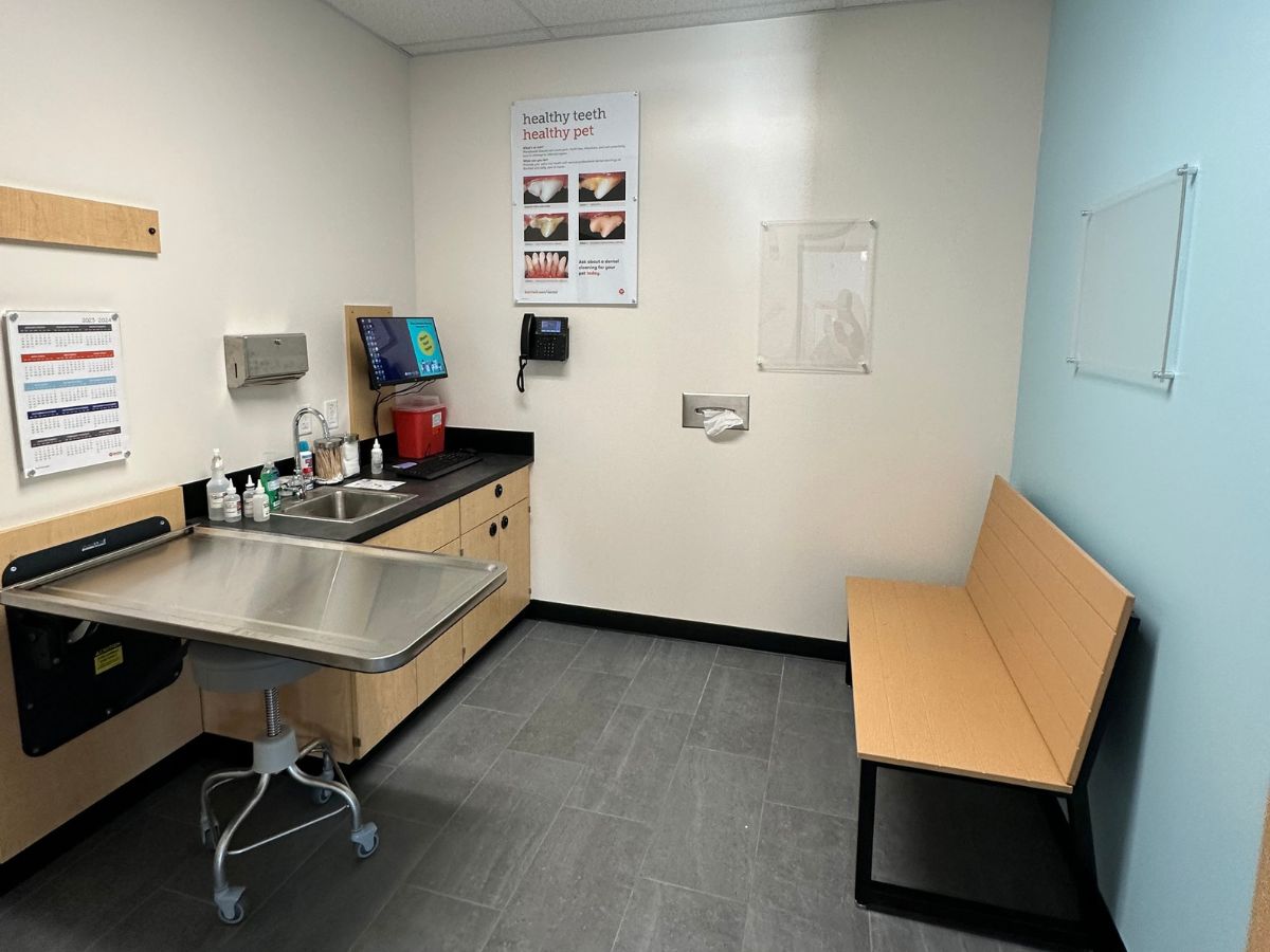 The Banfield Pet Hospital - Salisbury exam room