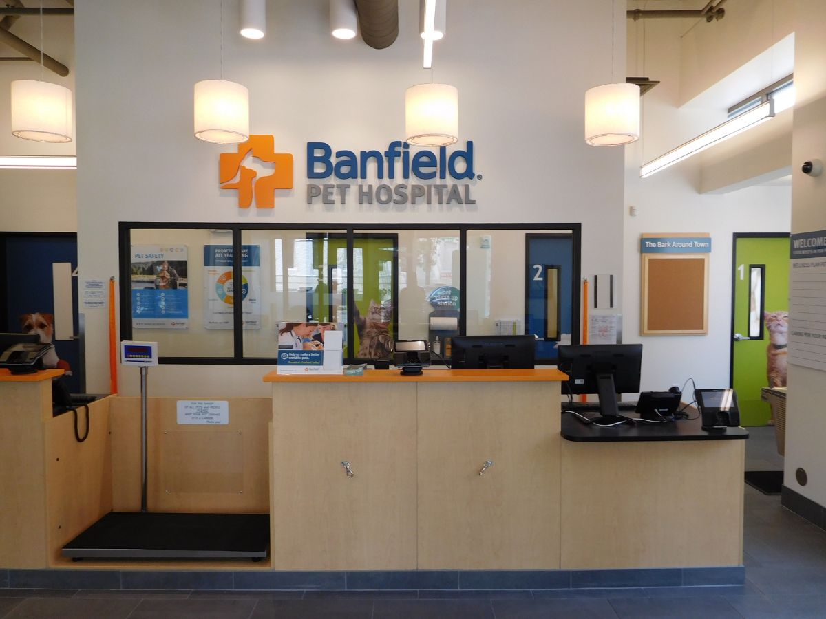 The front desk and check-in at the Adams Morgan Banfield hospital