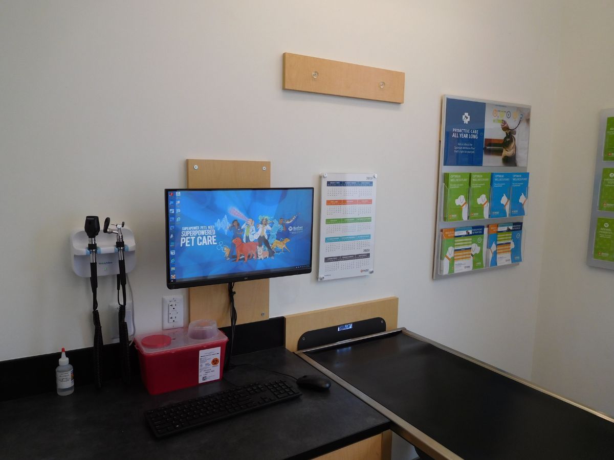 A view of the Banfield - Adams Morgan hospital exam room