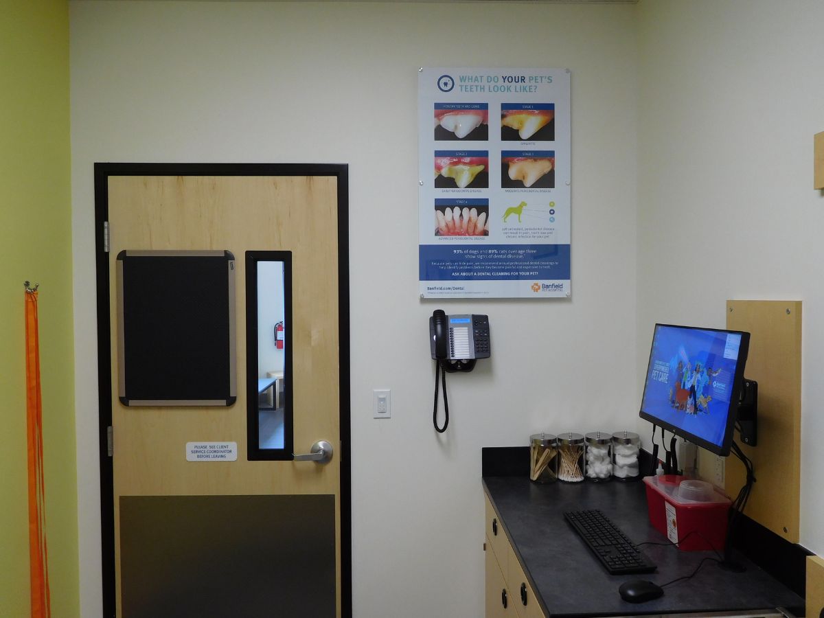 An alternate view of the Adams Morgan Banfield exam room