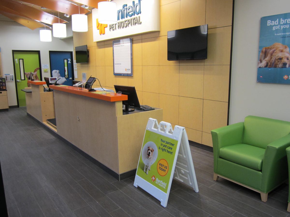 The check-in and front desk area at Banfield - Maryland City Plaza