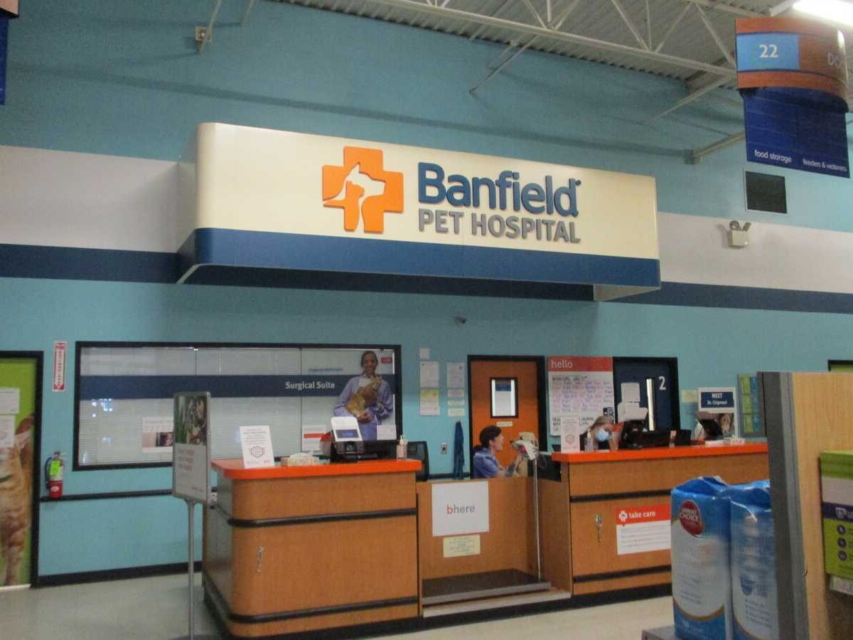 The Banfield - American Fork front desk and check-in area