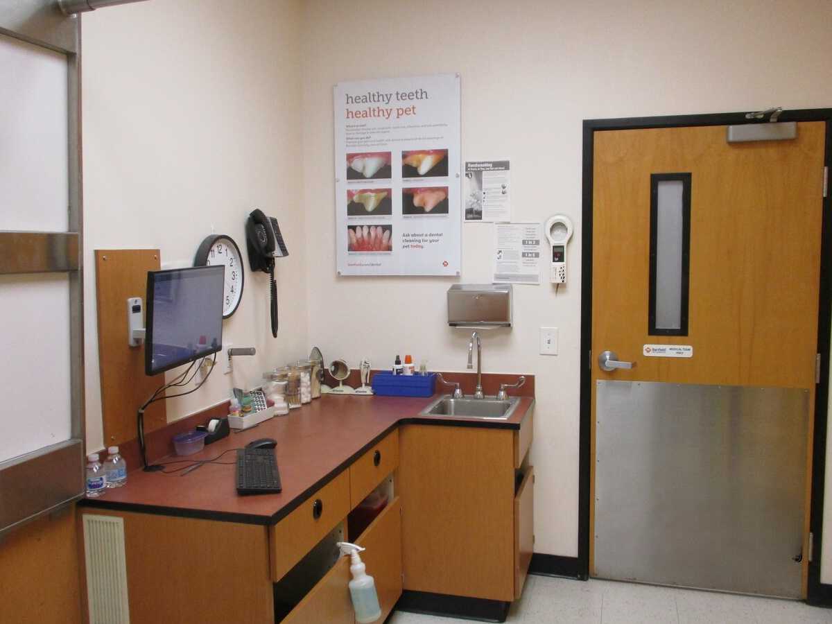 A view inside the American Fork Banfield exam room