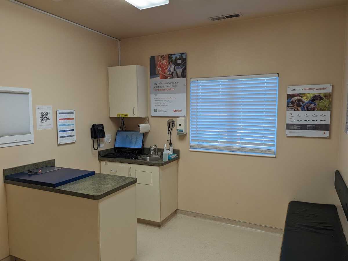 Another view inside the Creekside Banfield exam room