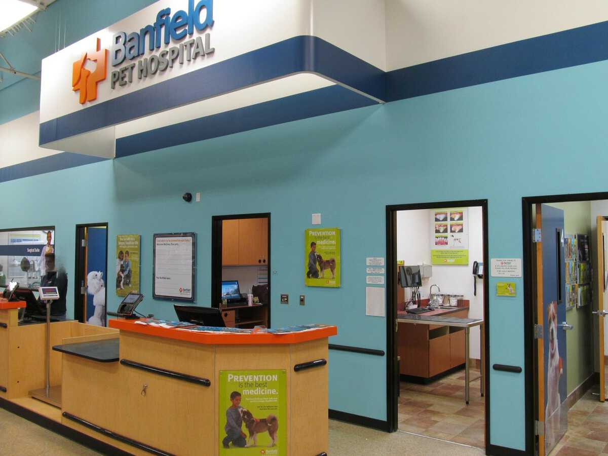 The Deer Springs Banfield front desk inside PetSmart