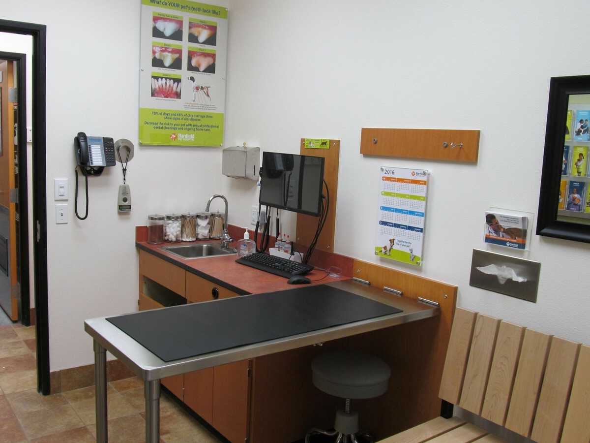 The exam room and folding table inside the Banfield - Deer Springs hospital