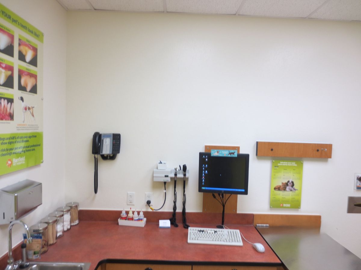 Another view of the Banfield - Concord exam room and folding table