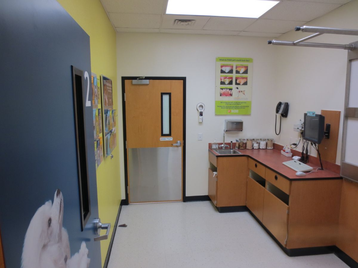 Another view inside the exam room at the Concord Banfield hospital
