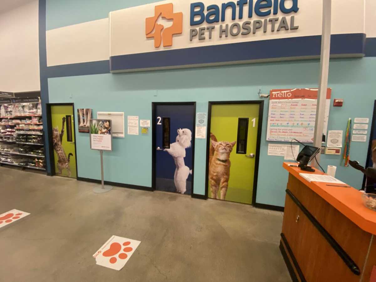 The exam room front doors at the Sandy Banfield hospital