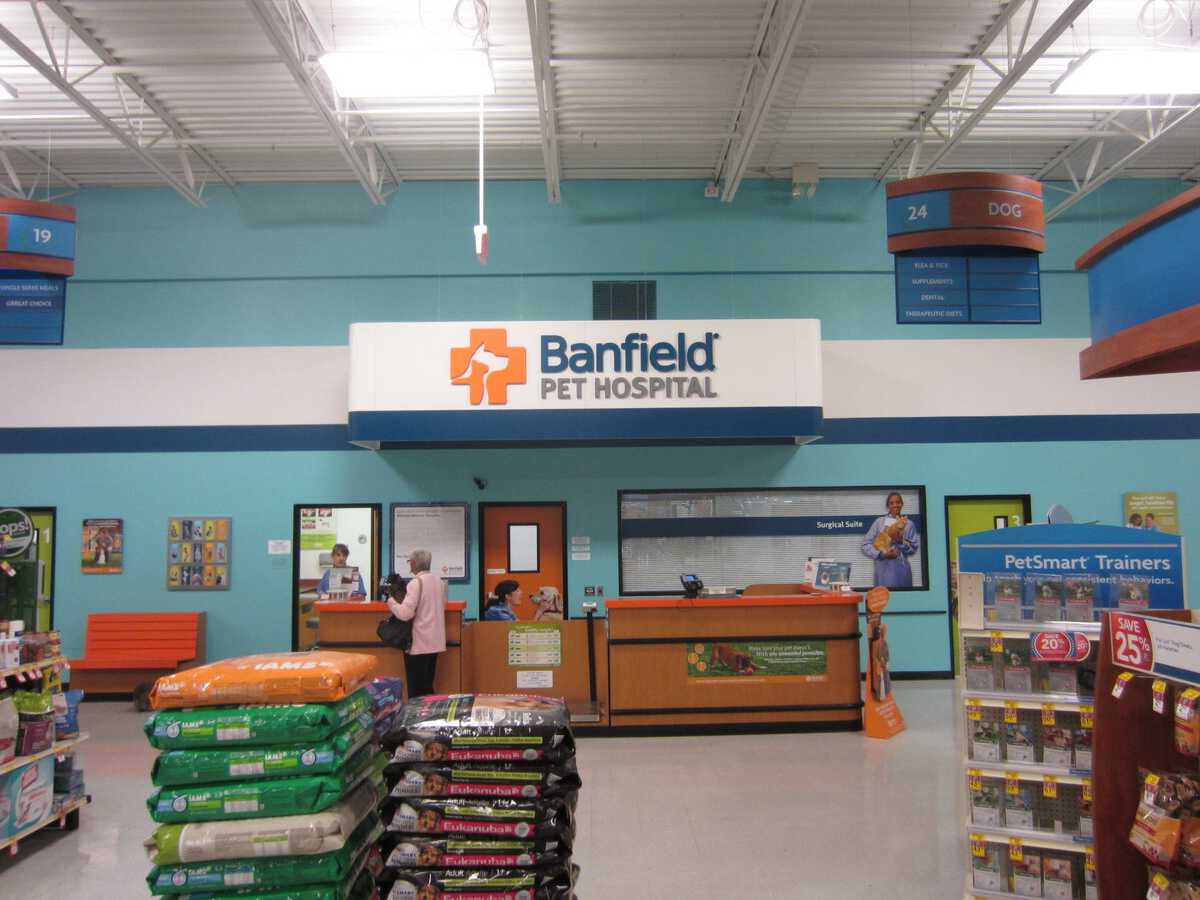A view of the front desk area of the West Valley Banfield hospital