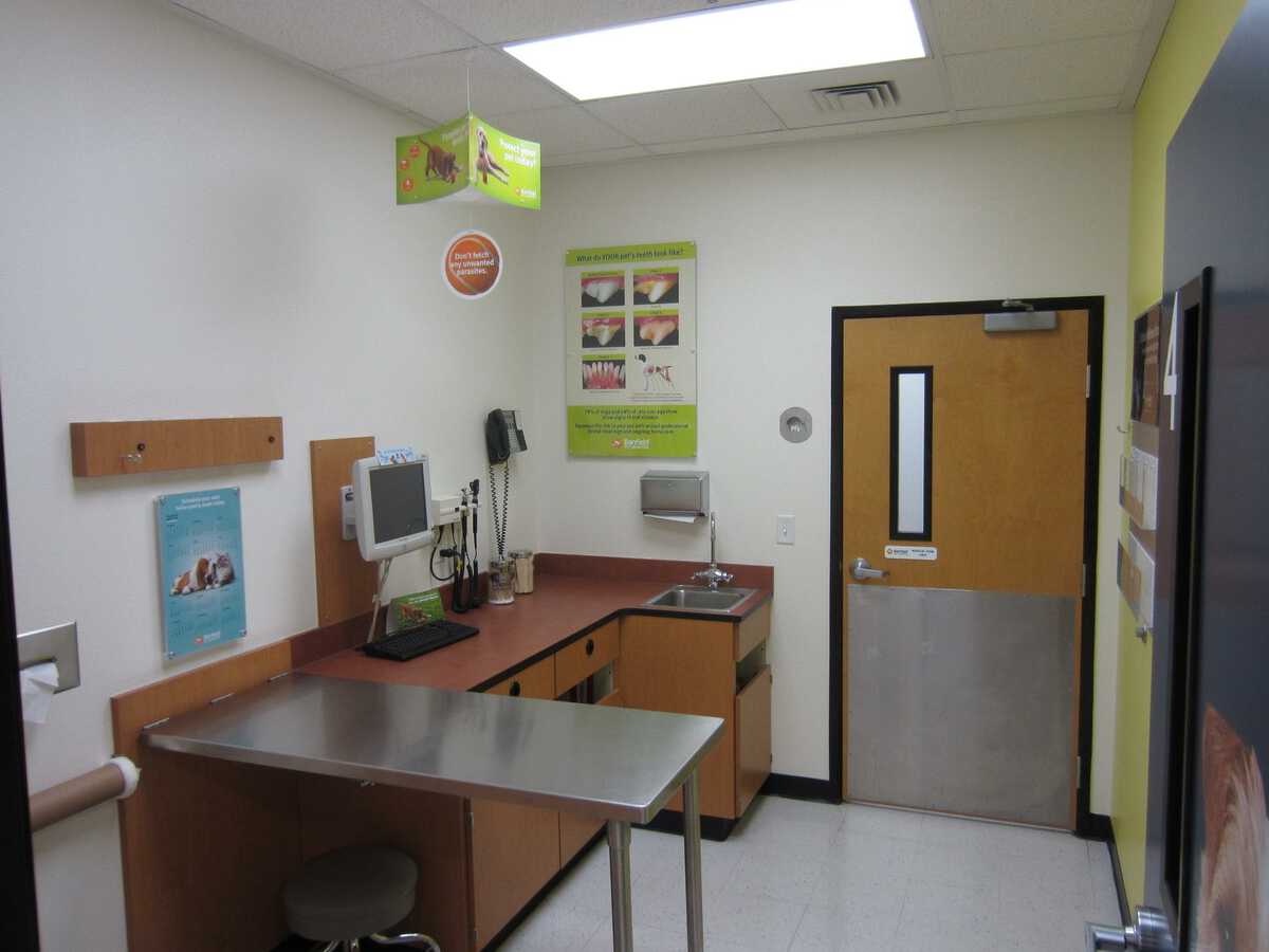 Another view of the exam room inside the Banfield - West Valley hospital