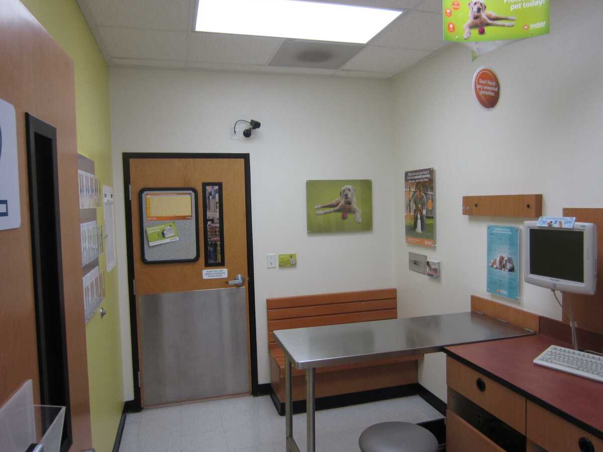 Another alternate view inside the West Valley Banfield exam room