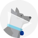 Illustrated icon of a dog wearing a cone collar