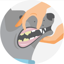 Illustrated icon of a dog getting its teeth examined 