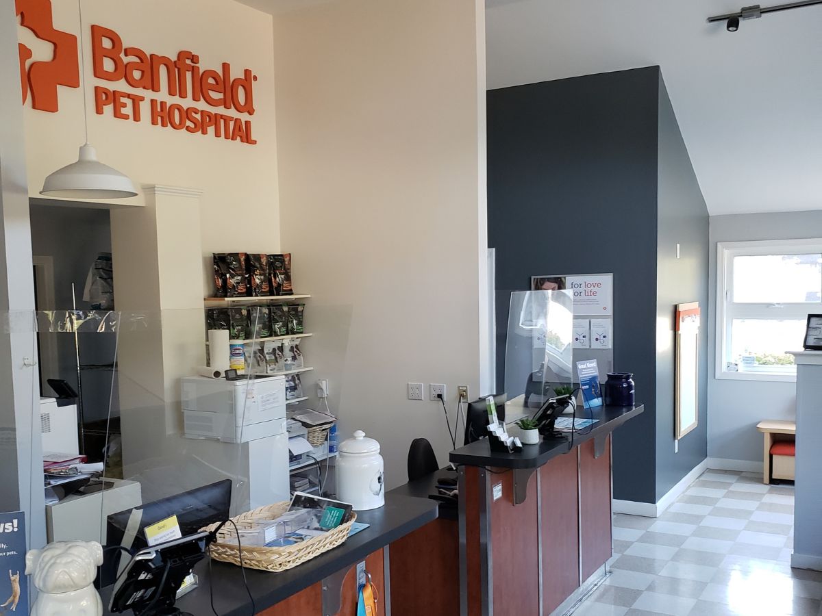 The front desk and check-in area at the Medfield Banfield hospital