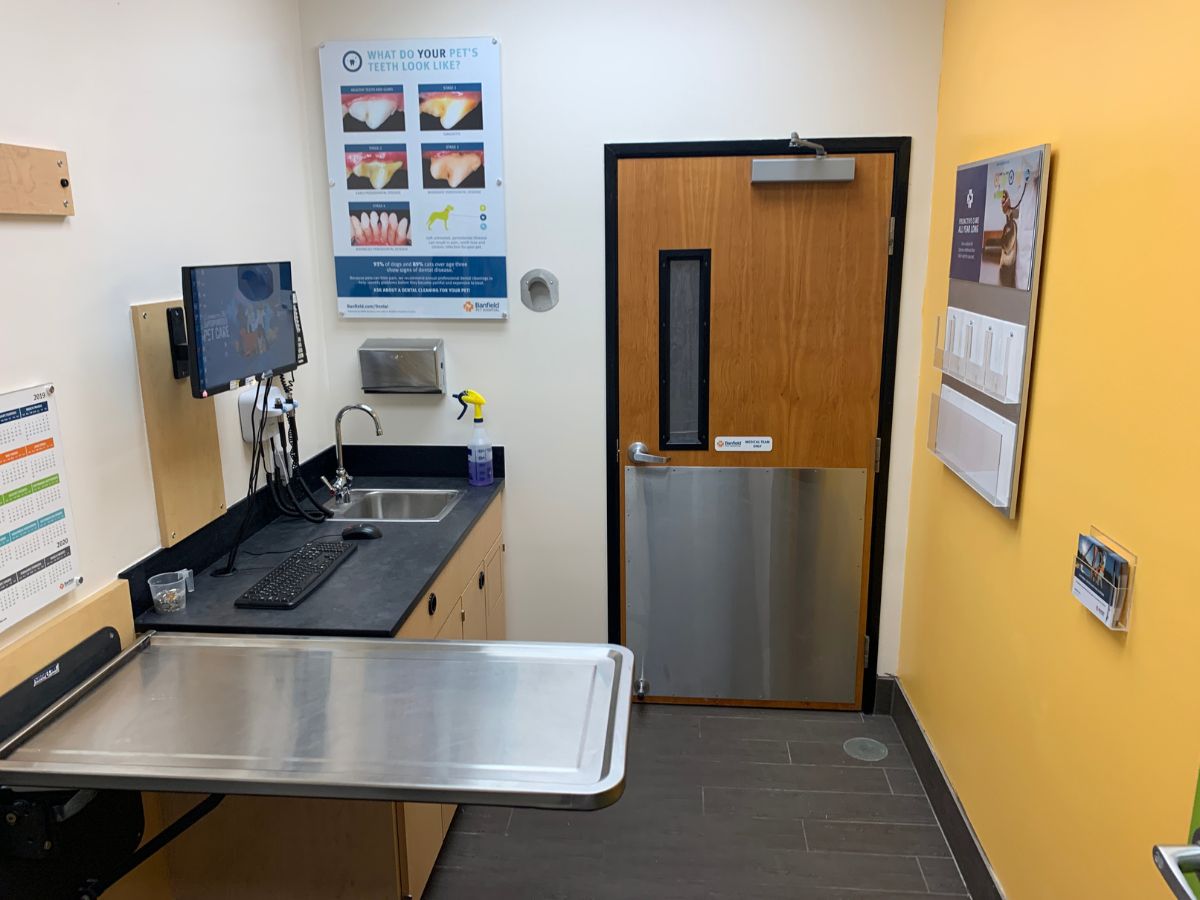 A view of the Banfield - Millbury exam room and folding table