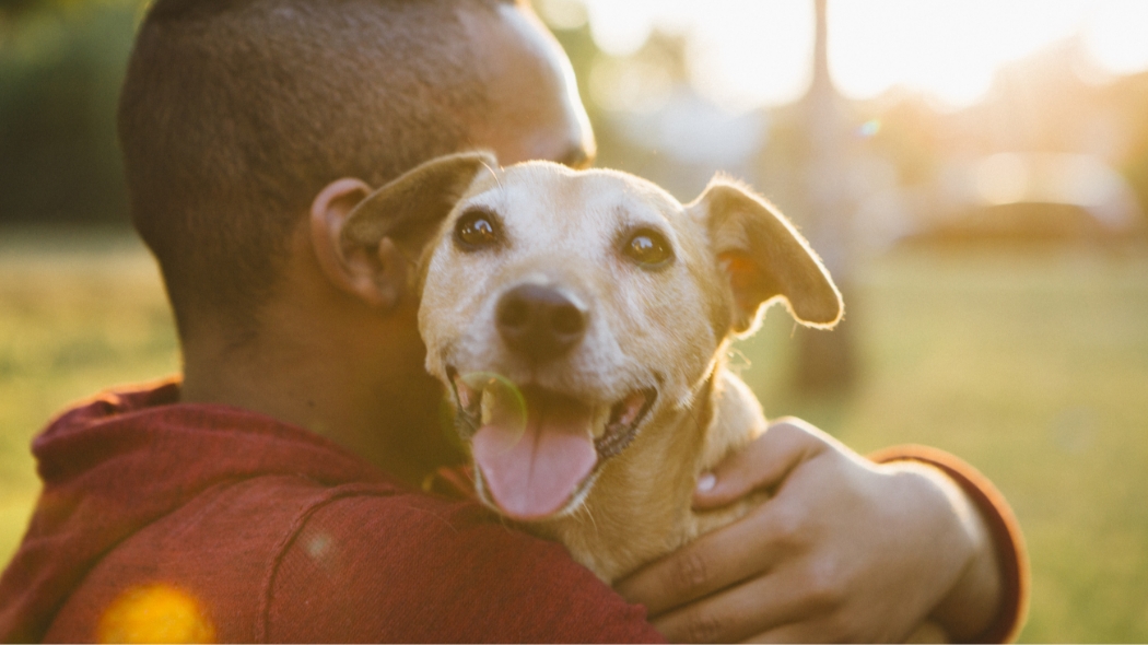 owner holding his dog