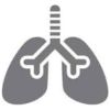 An icon of gray lungs to illustrate respiratory effects