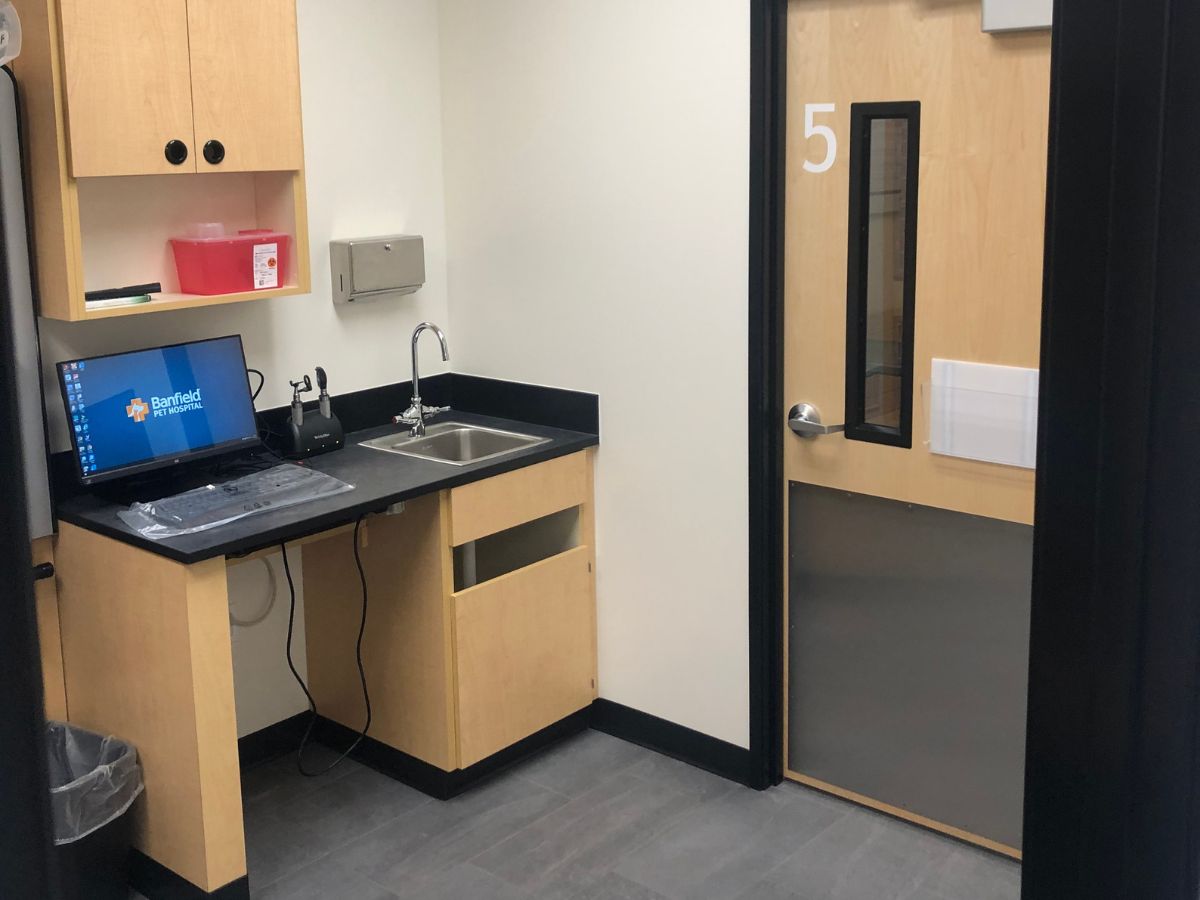 A view of the Glastonbury Banfield exam room