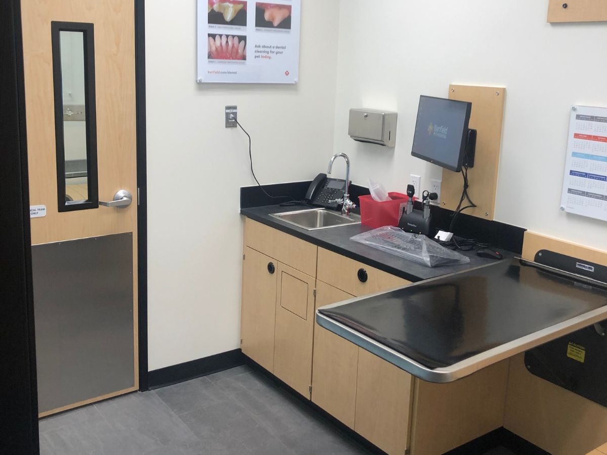 An alternate view of the Glastonbury Banfield exam room and folding table