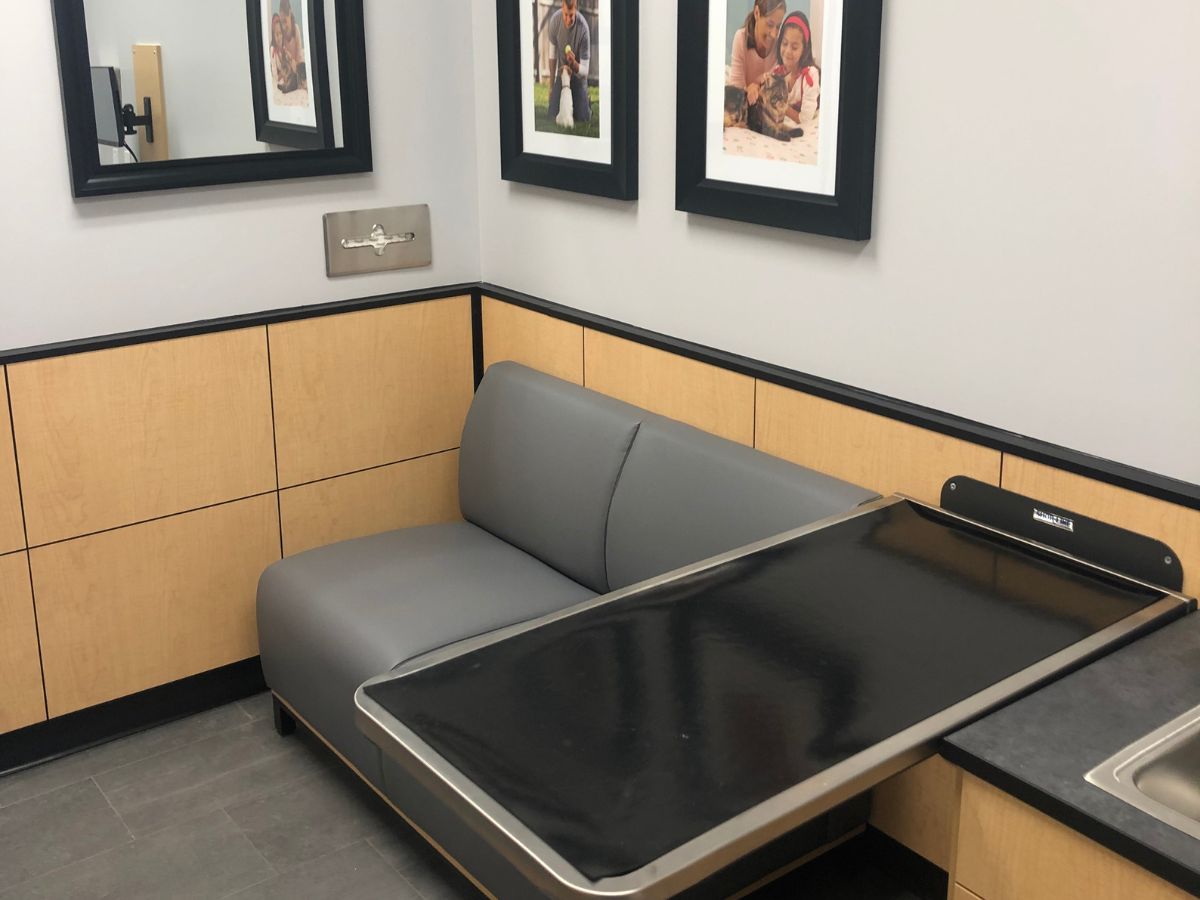 Another view inside a Banfield - Glastonbury exam room