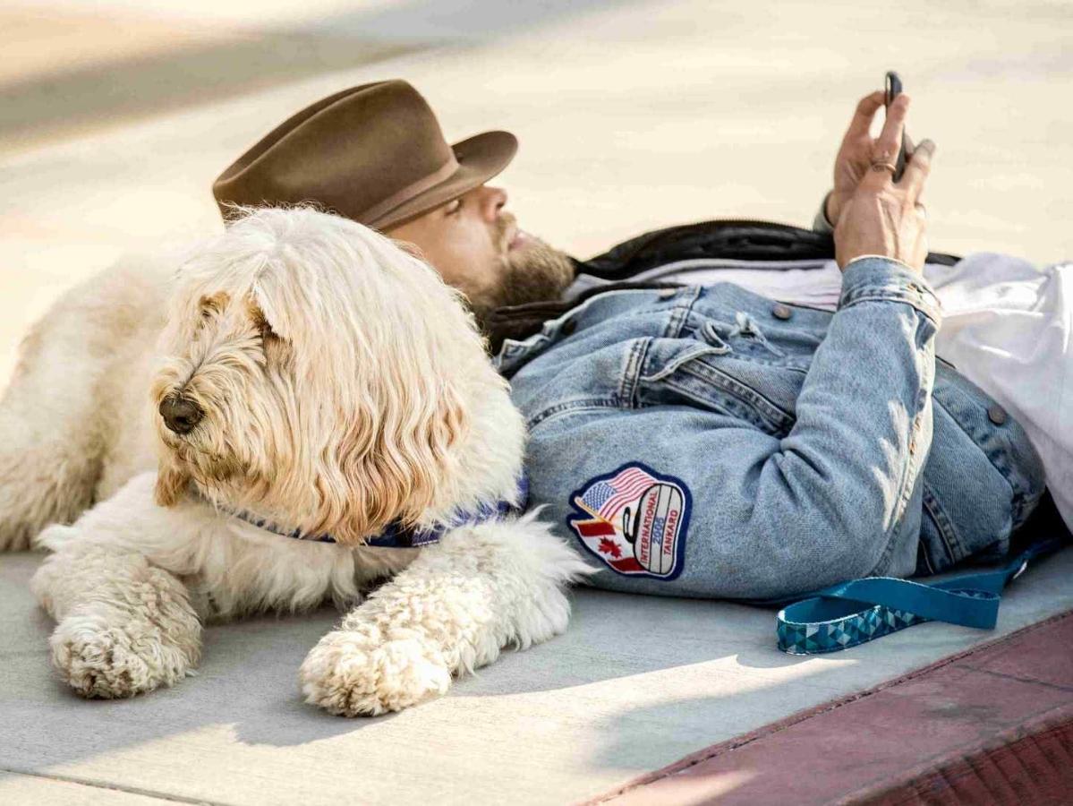 A man laying by his Komondor on the ground looking at his phone