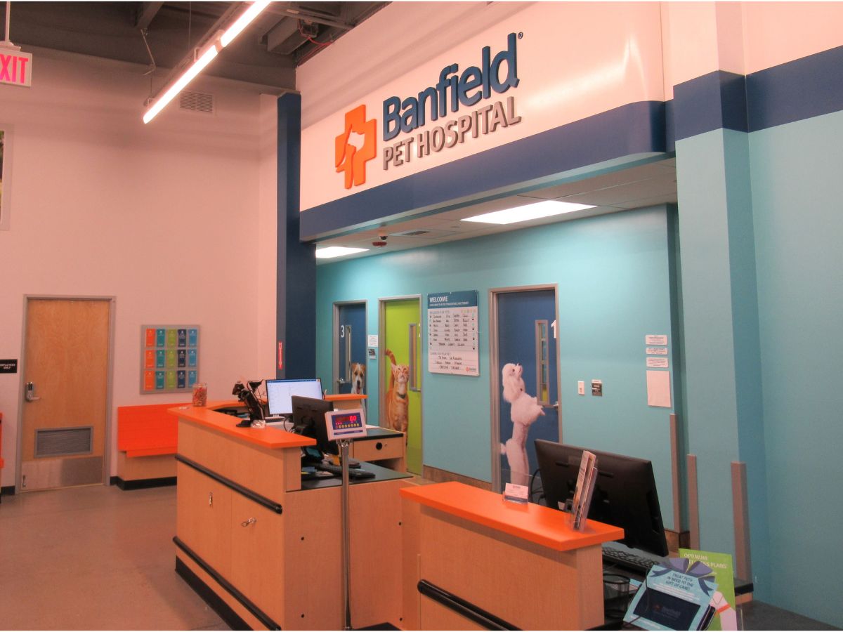 The Staten Island Banfield hospital front desk and exam rooms