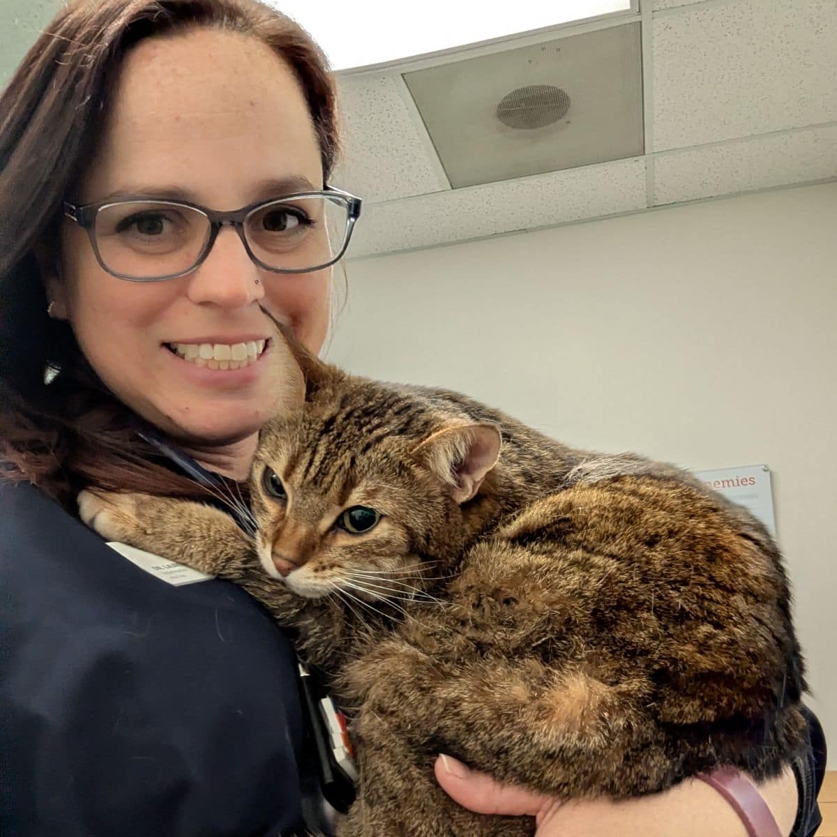 Profile picture of Lauren Seal, DVM, Veterinarian